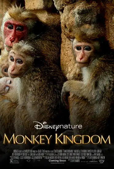 disneynature-monkey-kingdom-2015